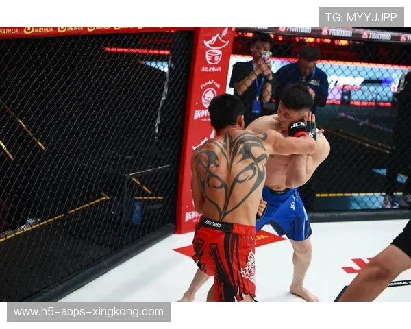 MMA多学科训练使选手更全面